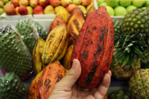 A variety of colorful fruits rich in flavonoids