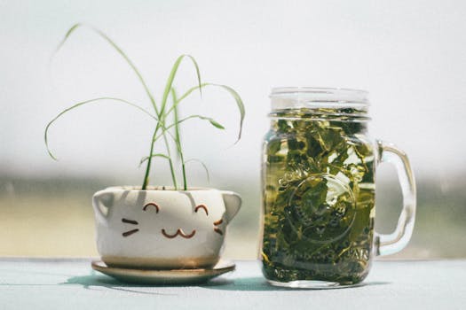 green tea leaves on a tea pot